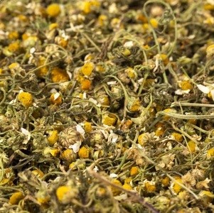 فروش گل بابونه (گیاه‌ دارویی)